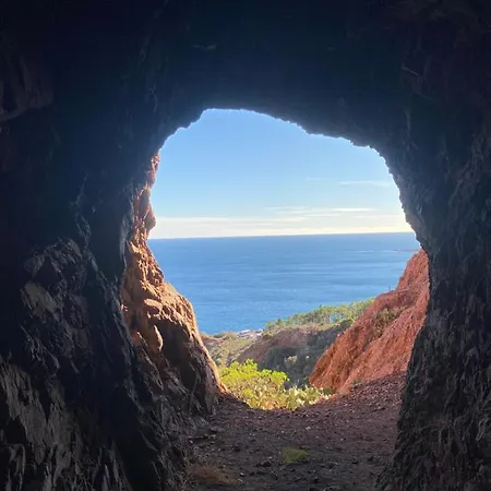 Domaine Valescure Vue Piscine Ou Pinede - Wifi *