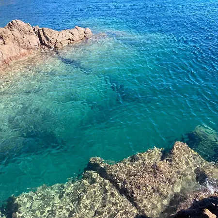 Domaine Valescure Vue Piscine Ou Pinede - Wifi Apartamento Saint-Raphaël