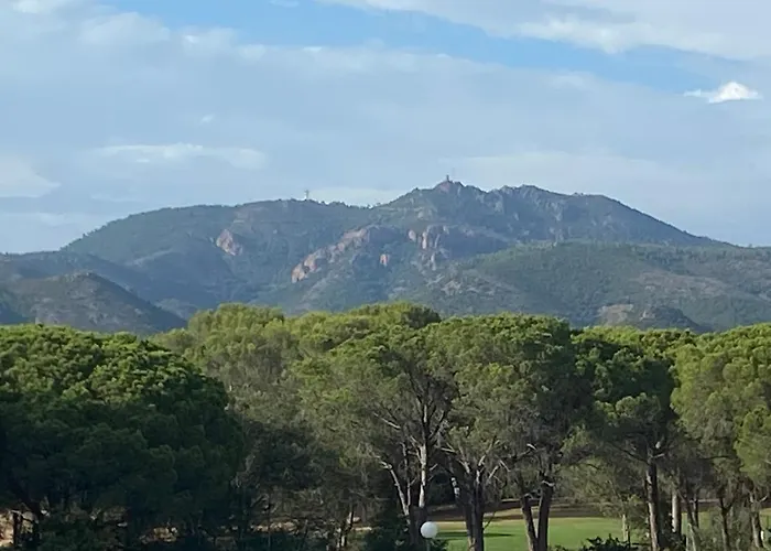 Domaine Valescure Vue Piscine Ou Pinede - Wifi Apartamento *