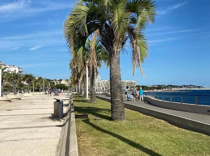 Domaine Valescure Vue Piscine Ou Pinede - Wifi Saint-Raphaël