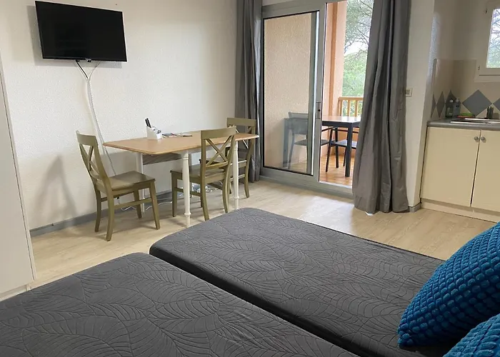 Domaine Valescure Vue Piscine Ou Pinede - Wifi *