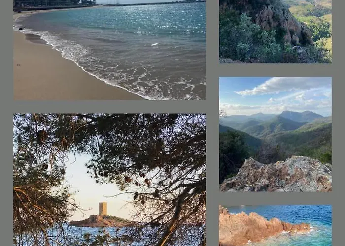 Lejlighed Domaine Valescure Vue Piscine Ou Pinede - Wifi Saint-Raphaël