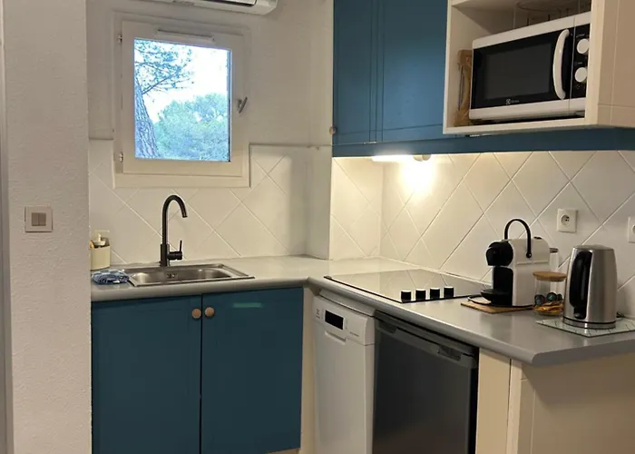 Domaine Valescure Vue Piscine Ou Pinede - Wifi Apartamento *