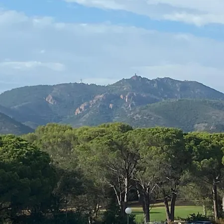 Domaine Valescure Vue Piscine Ou Pinede - Wifi Appartamento *