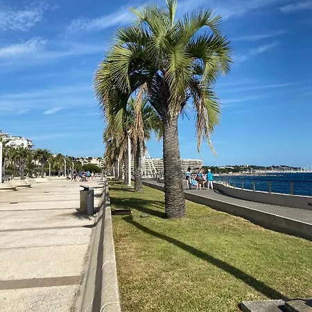 Domaine Valescure Vue Piscine Ou Pinede - Wifi Saint-Raphaël