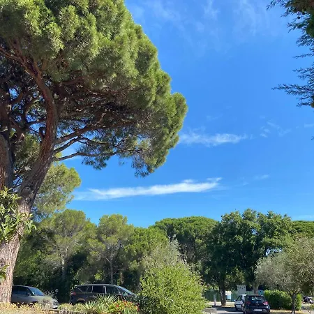 Domaine Valescure Vue Piscine Ou Pinede - Wifi Apartment