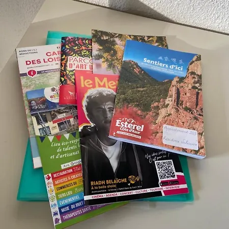 Domaine Valescure Vue Piscine Ou Pinede - Wifi * Saint-Raphaël