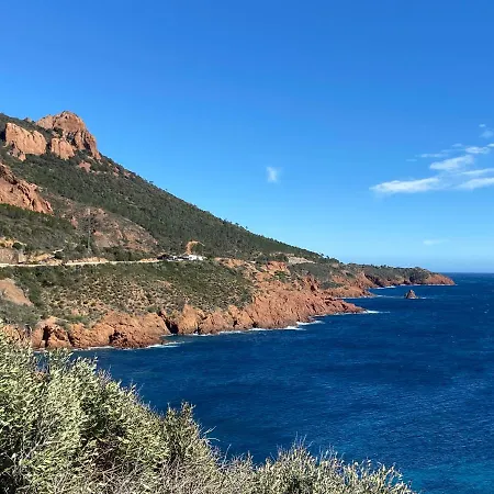 Appartamento Domaine Valescure Vue Piscine Ou Pinede - Wifi