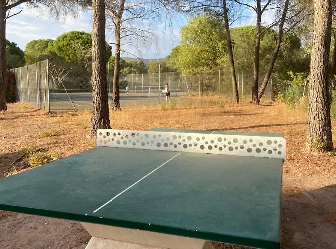 Apartamento Domaine Valescure Vue Piscine Ou Pinede - Wifi Saint-Raphaël