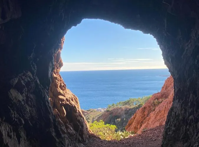 Domaine Valescure Vue Piscine Ou Pinede - Wifi *