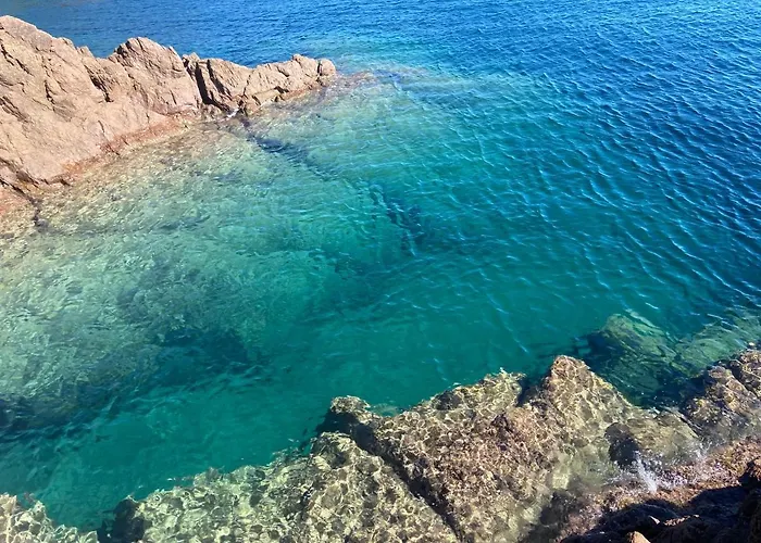 Domaine Valescure Vue Piscine Ou Pinede - Wifi Apartament Saint-Raphaël