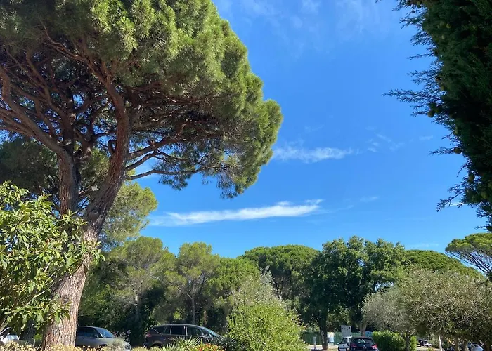 Domaine Valescure Vue Piscine Ou Pinede - Wifi Apartment