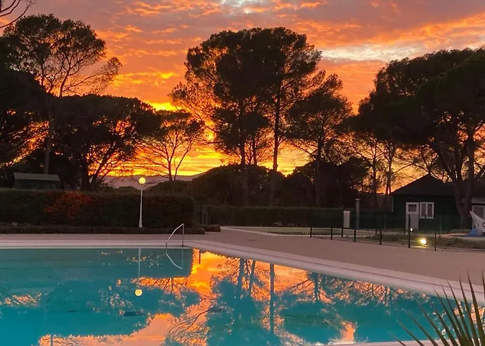 Domaine Valescure Vue Piscine Ou Pinede - Wifi