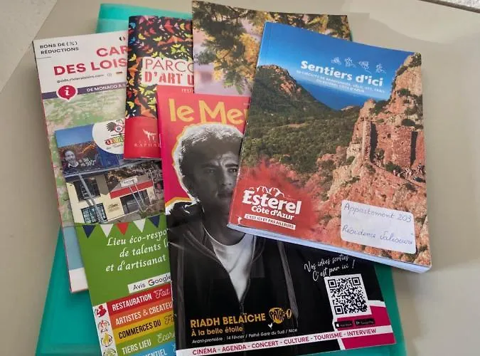 Domaine Valescure Vue Piscine Ou Pinede - Wifi * Saint-Raphael (Var)