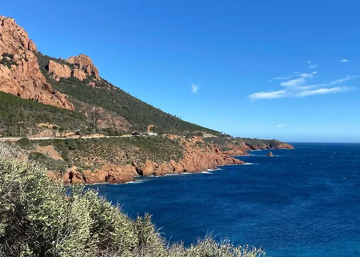 Apartament Domaine Valescure Vue Piscine Ou Pinede - Wifi